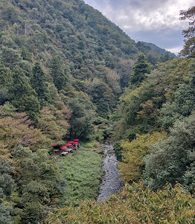 nanohana
