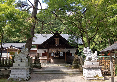 kasnebashi