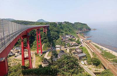 nanohana