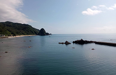 nanohana