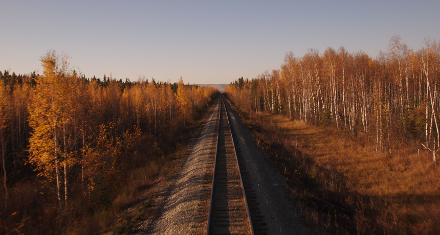 秋のアラスカ鉄道