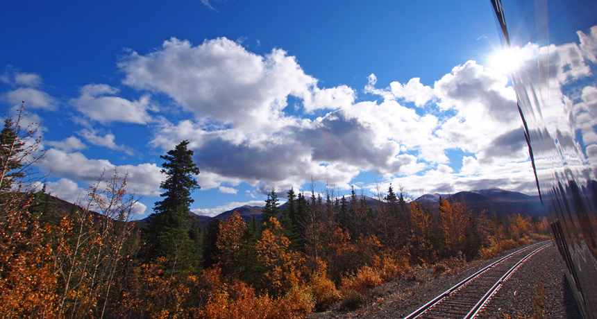 秋のアラスカ鉄道